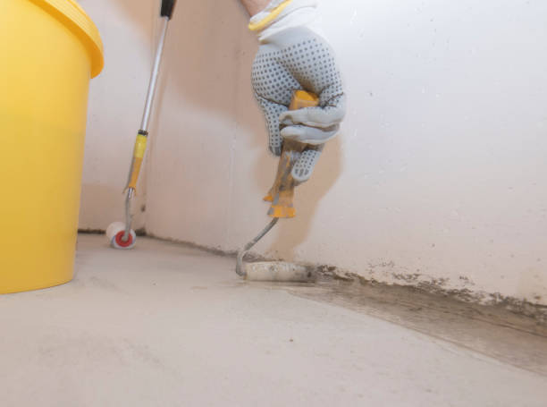 Best Pest Prevention Services  in Harwood Heights, IL